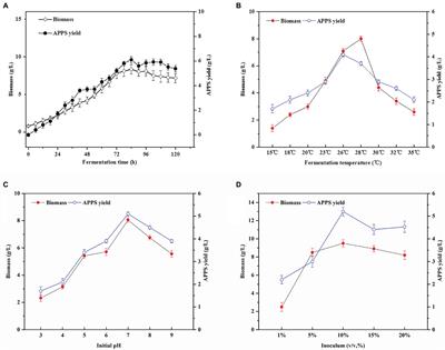 High-Efficiency Production of Auricularia polytricha Polysaccharides Through Yellow Slurry Water Fermentation and Its Structure and Antioxidant Properties